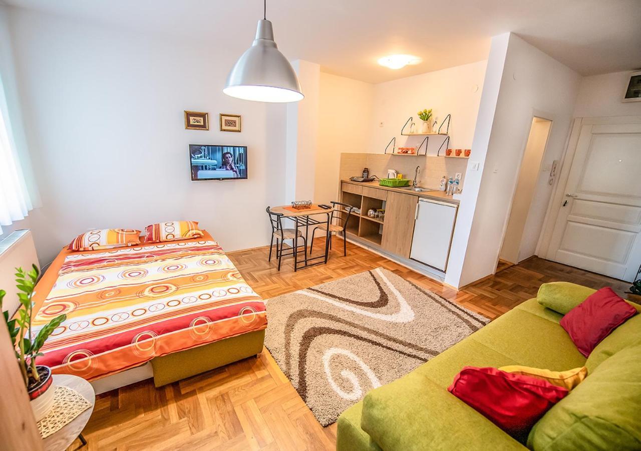 Mina Penthouse Daire Novi Sad Dış mekan fotoğraf